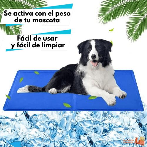 Alfombra Refrigerante Pet Cool Mat (50x40 cm).