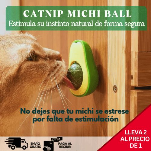 Catnip Michi Ball