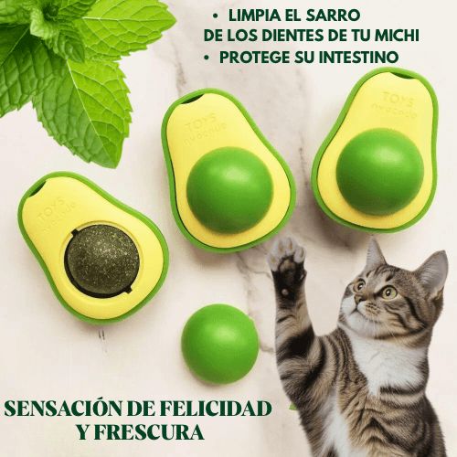 Catnip Michi Ball