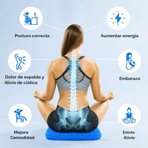Cojín de Gel Flexible "FlexiSeat Gel"