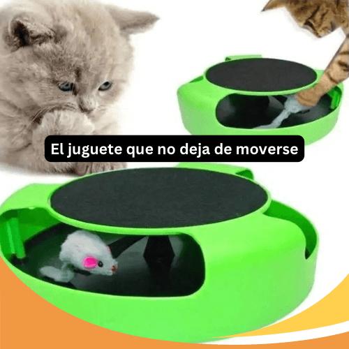 Juguete para Gatos Catch the Mouse