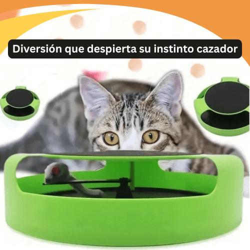 Juguete para Gatos Catch the Mouse