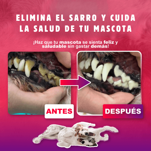 Oral Pet Spray Bucal para Mascotas / Aliento más Fresco sin Pelear con el Cepillo