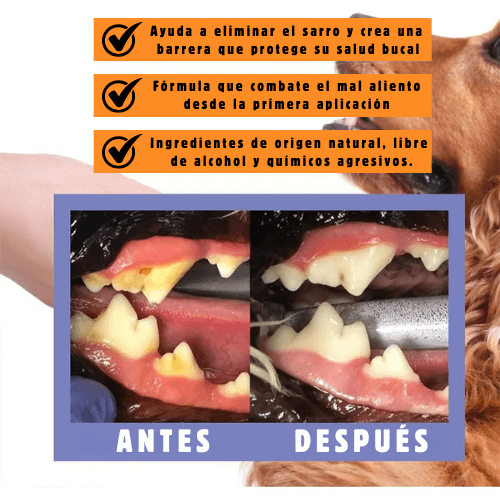 Oral Pet Spray Bucal para Mascotas / Aliento más Fresco sin Pelear con el Cepillo