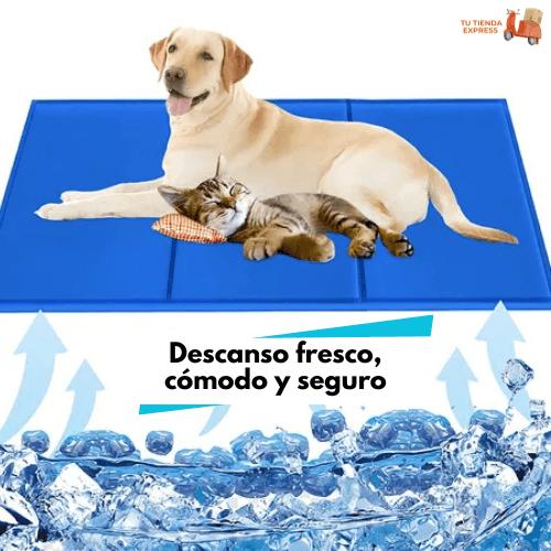 Alfombra Refrigerante Pet Cool Mat (50x40 cm).